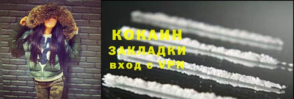mdpv Краснослободск