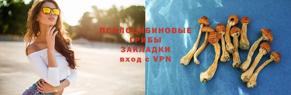 дживик Краснотурьинск