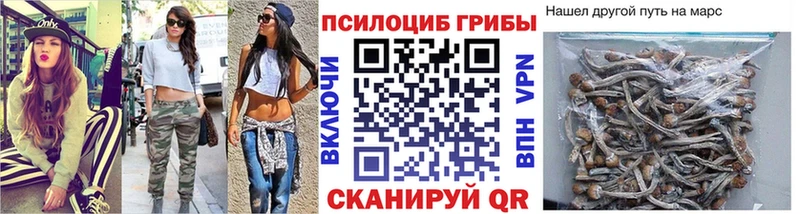 Купить где  Бежецк  Псилоцибиновые грибы MAGIC MUSHROOMS 