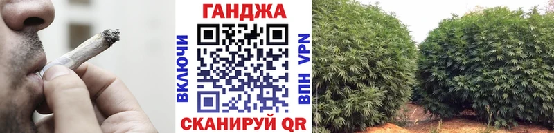 Бошки марихуана план  Купить  Бежецк 